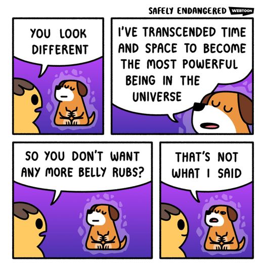 Always time for belly rubs #XZEmpire #XZAnimals #Puppers #GoodBoy #GoodestBoy #Furbaby #Furbabies #Pets #Animals #Dog #Dogs #Doggy #Doggo #Puppy #BellyRubs #Transcend #Powerful #Universe #DogUniverse