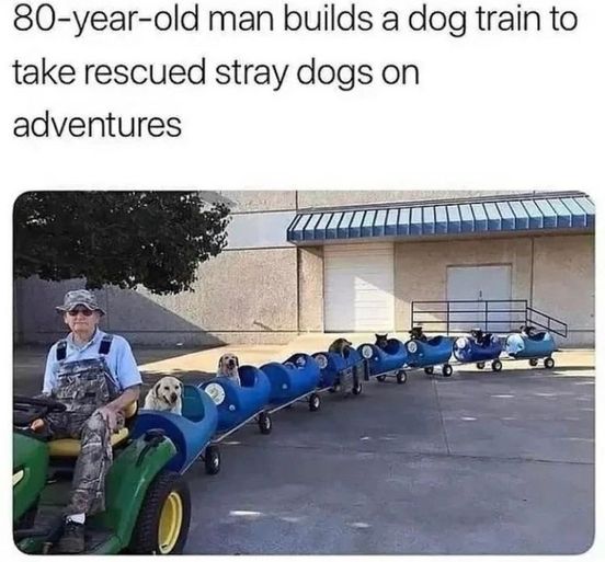This dogtrain is AWESOME!  #XZEmpire #XZAnimals #Puppers #dogstagram #GoodBoy #GoodestBoy #Dogsofinstagram #Furbaby #Furbabies #Pets #Petstagram  #Animals #Dog #Dogs #Doggy #Doggo #Puppy #DogTrain #Rescue #Stray #StrayDogs #Adventures #TrainFun