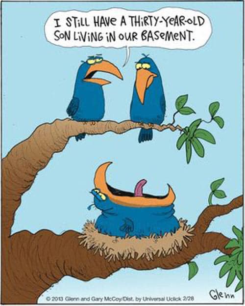 30 year old basement life.  #30Years #GetOutKid #BasementLife #Basement