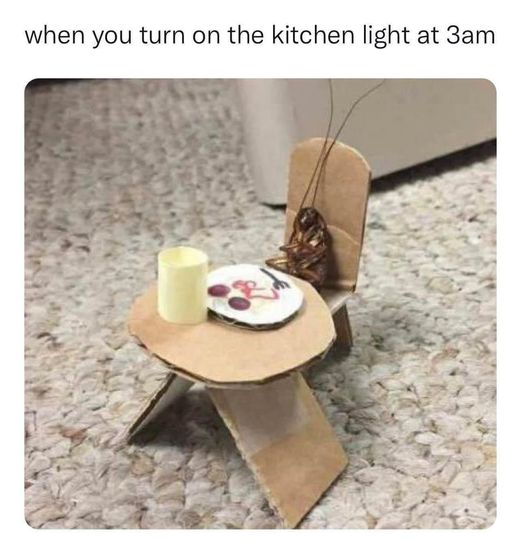 Late night roach dining lol.  #Bugs #KitchenBugs #Roaches #Dinner #DinnerBugs