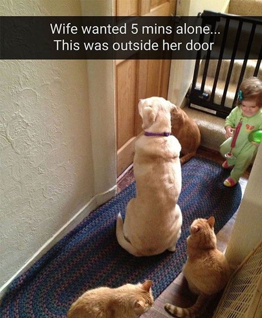 You can never escape!  #Kids #Dogs #Waiting #Forever #5minutes #Alone #Mom #Mommy