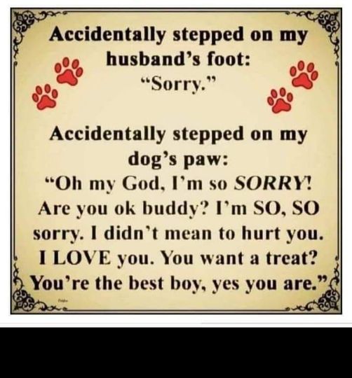DEFINITELY!  I am SO sorry puppy!  I love you so much! #Dog #Doggy #Oops #SteppedWrong #StepOnPaw #Paws #Sorry #SoSorry