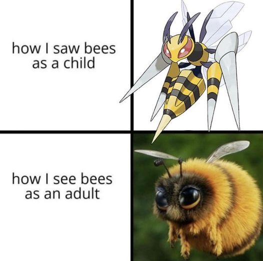 Actually kind of true…. I try not to kill bees now.  #Bees #DontStingMe #Aninals #Bugs #XZEmpire #XZAnimals #BugsLife