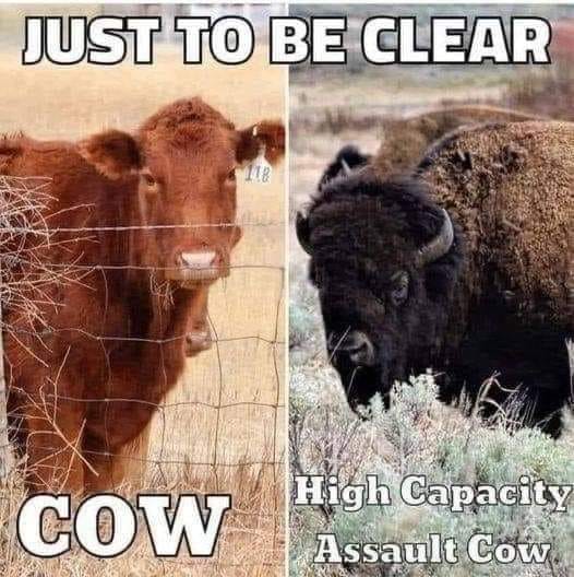 Watch your back – never know when a high capacity assault cow lurks lol