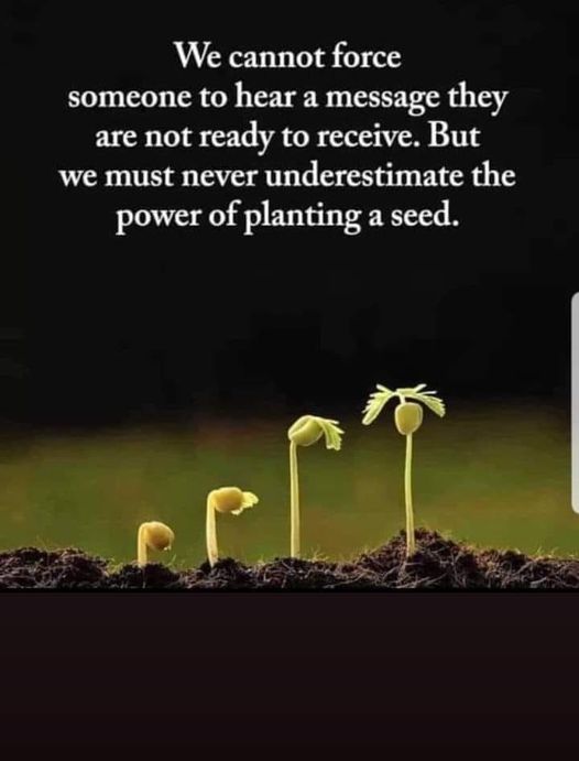 Small actions today can spark powerful growth tomorrow.